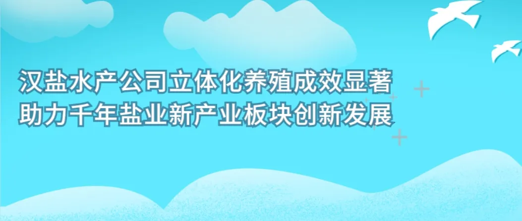 汉盐水产公司立体化养殖成效显著 助力千年盐业新产业板块创新发展