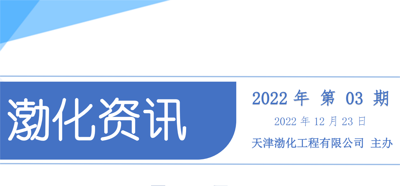 渤化资讯2022年第3期